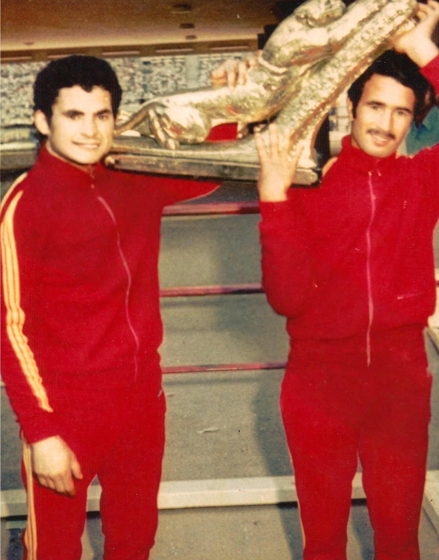 Ligue 1 Professionnelle (Tunisie)